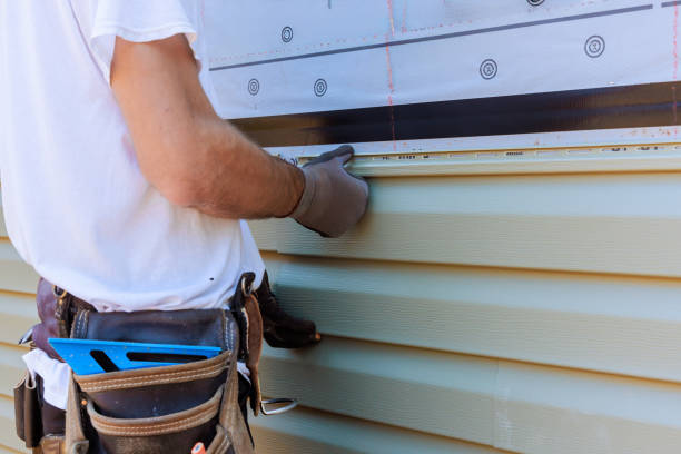 Affordable Vinyl Siding solutions in Pamplin, VA